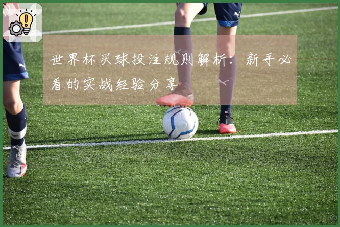 世界杯买球投注规则解析：新手必看的实战经验分享