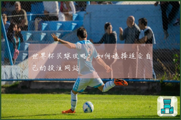 世界杯买球攻略：如何选择适合自己的投注网站