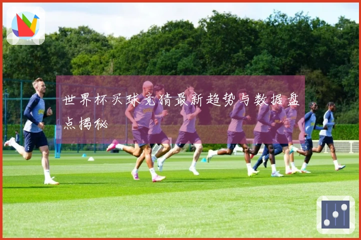 世界杯买球竞猜最新趋势与数据盘点揭秘