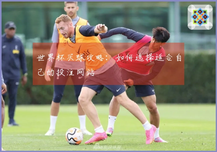世界杯买球攻略：如何选择适合自己的投注网站