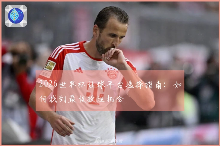 2026世界杯让球平台选择指南：如何找到最佳投注机会