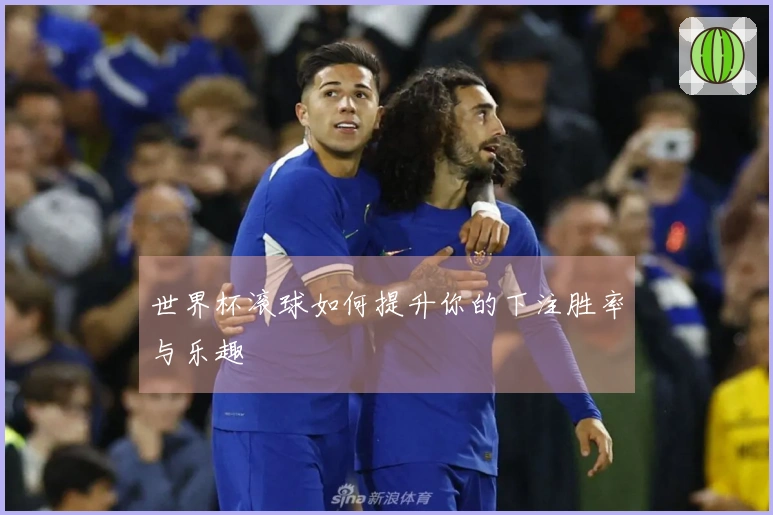 世界杯滚球如何提升你的下注胜率与乐趣