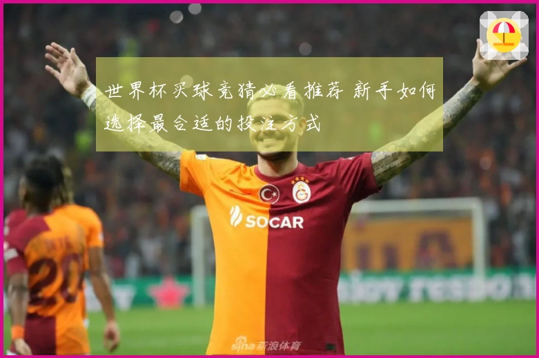 世界杯买球竞猜必看推荐 新手如何选择最合适的投注方式